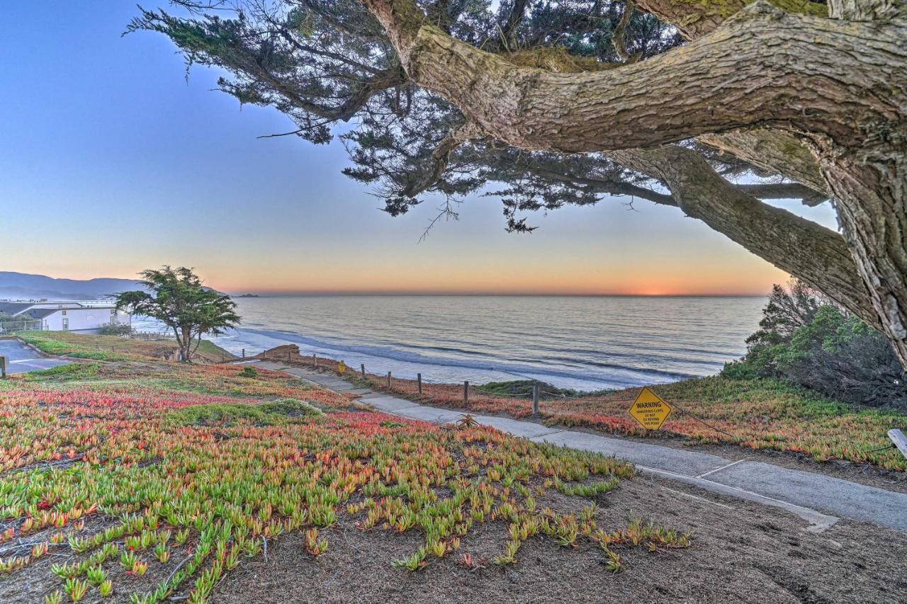 Апартаменты Cliffside Pacifica Hideaway Unbeatable View! Экстерьер фото