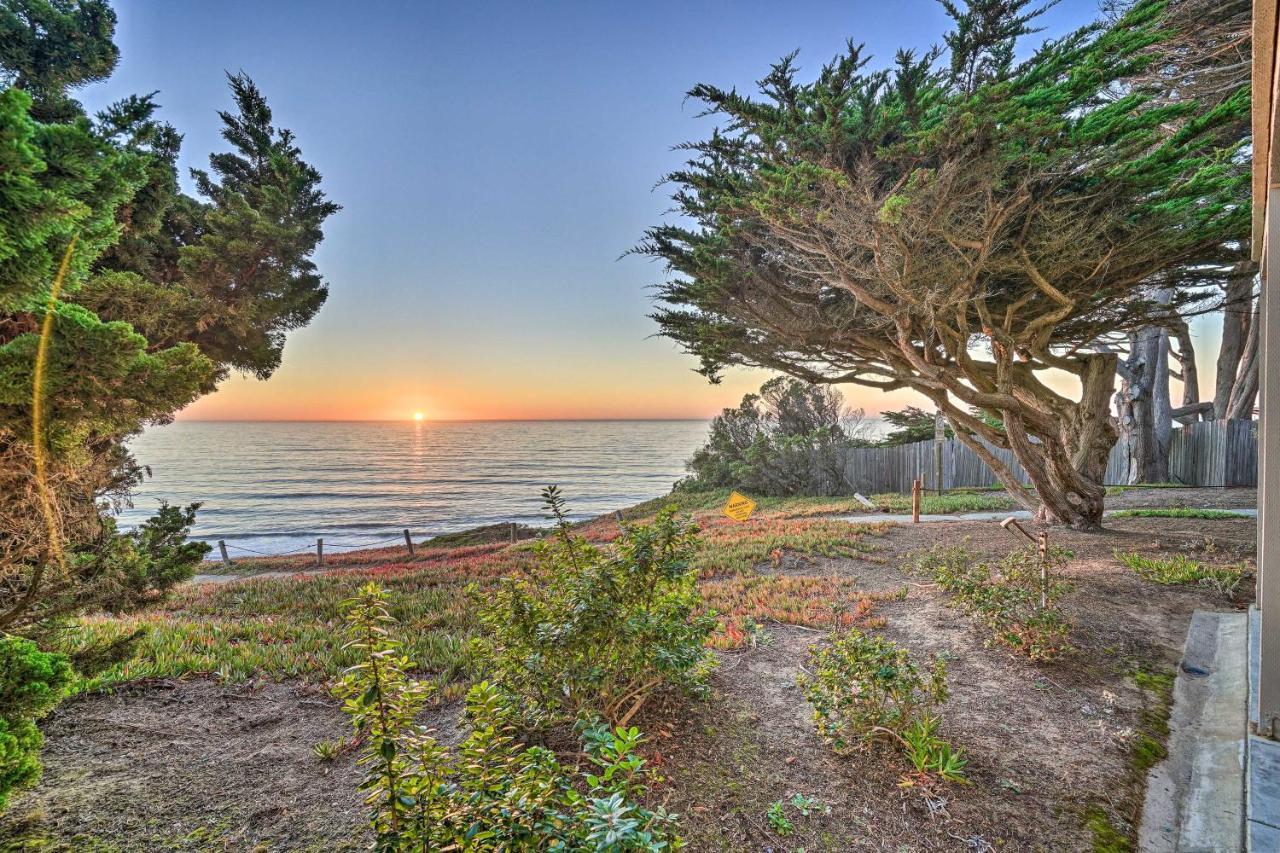 Апартаменты Cliffside Pacifica Hideaway Unbeatable View! Экстерьер фото